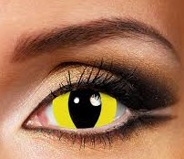 Xtreme Contact Lenses - WILD CAT