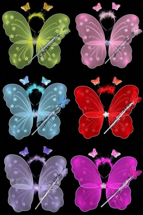 Butterfly Wings - Child Butterfly Wing set