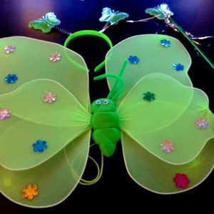 Butterfly Wings - Child Green Fairy Wing set with metallic flowers