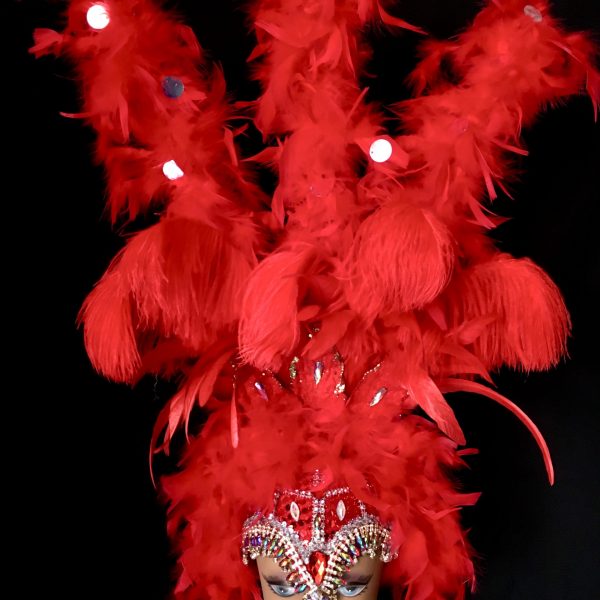 Moulin Rouge Carnival Rhinestone + Feather Headpiece