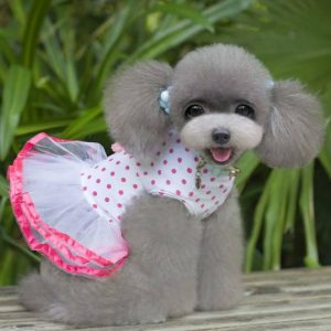 Puppy Dog Princess Dress Dog Cherry Lace Skirt Pet Dog Tutu Dress