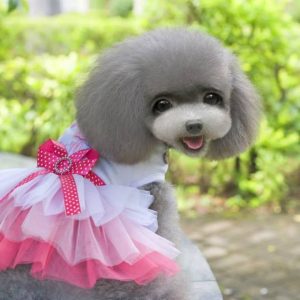 Tutu Dress With Bow Summer Cute Clothes For Dog Cat Puppy Pet