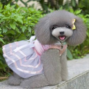 Tutu Princess Dress Stripe Bow Lace Skirt