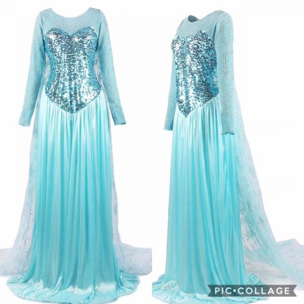 Women's Elegent Princess Elsa Dress Costume SIZE: SMALL