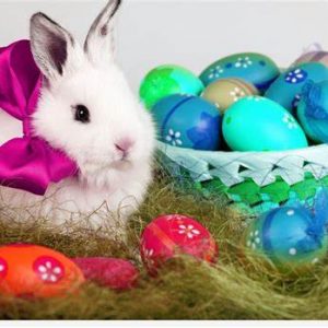 EASTER THEME