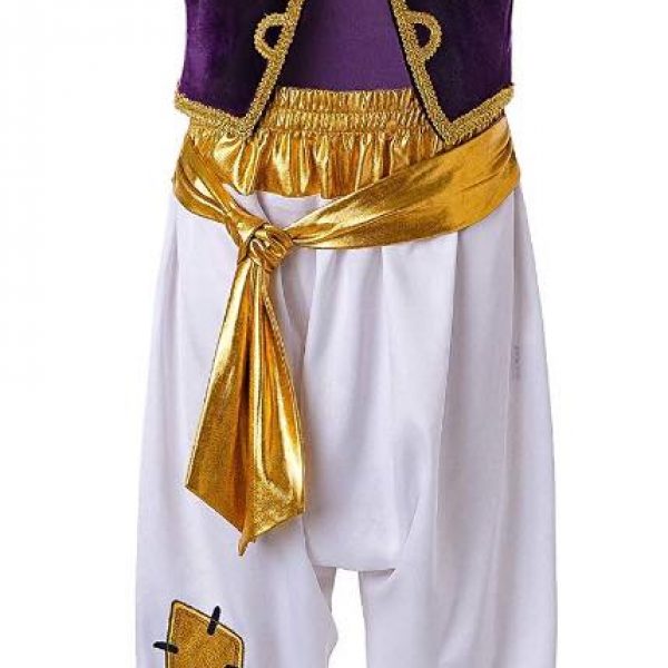 Storybook Arabian Prince Velvet Costume