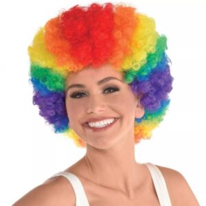 Rainbow Clown Wig