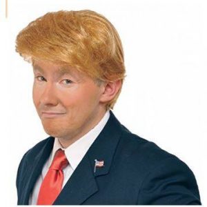 Mr. Billionaire Trump Wig Adult