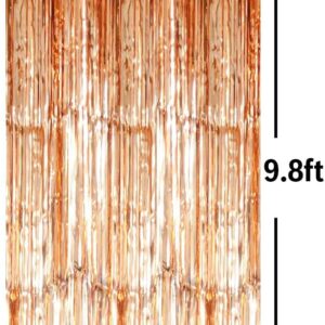 Tinsel Foil Fringe Curtains - 3.2ft x 9.8ft  CHAMPAGNE GOLD