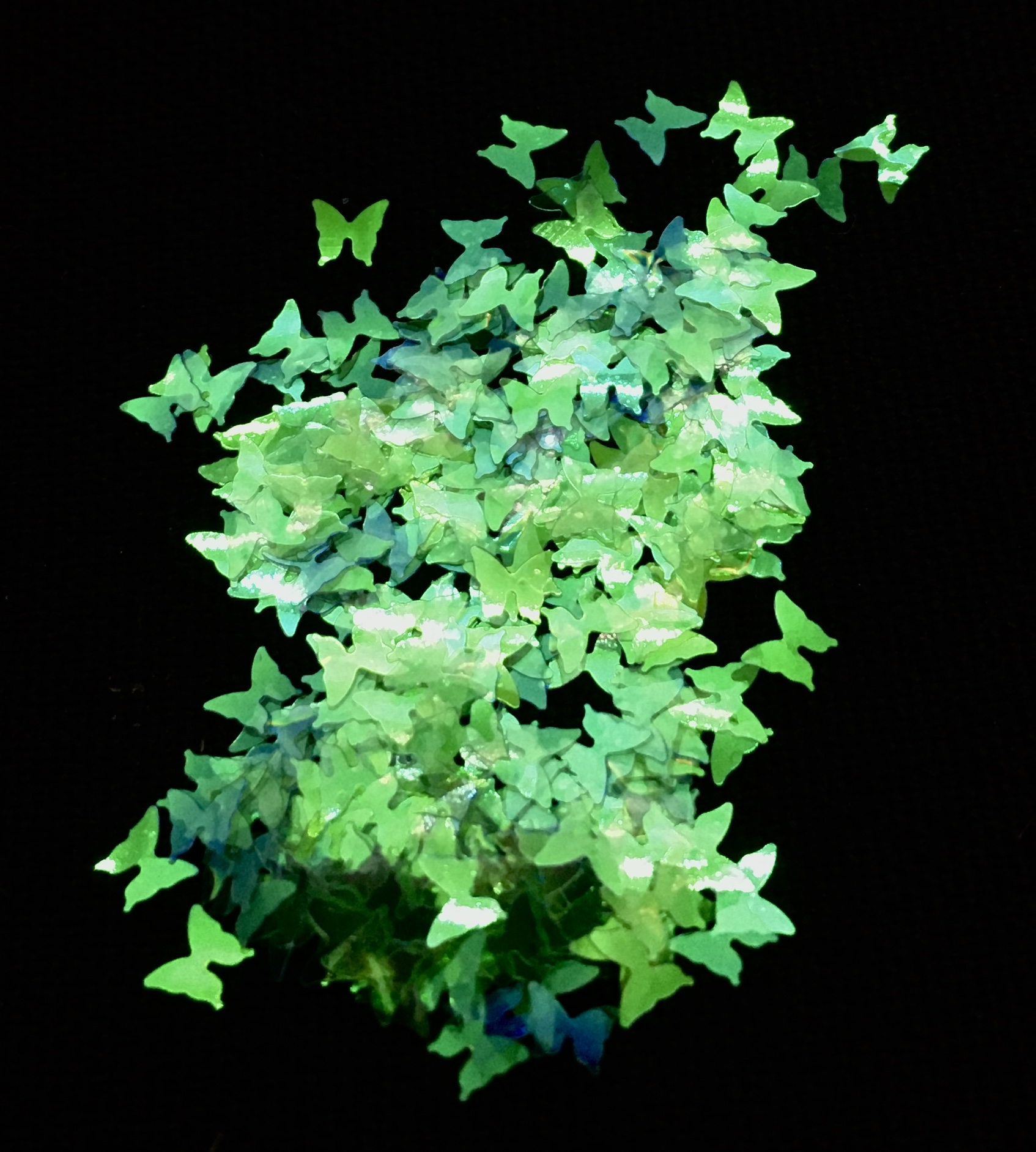 Holographic Sequin Butterfly Glitter – IRIDESCENT GREEN - Image 2