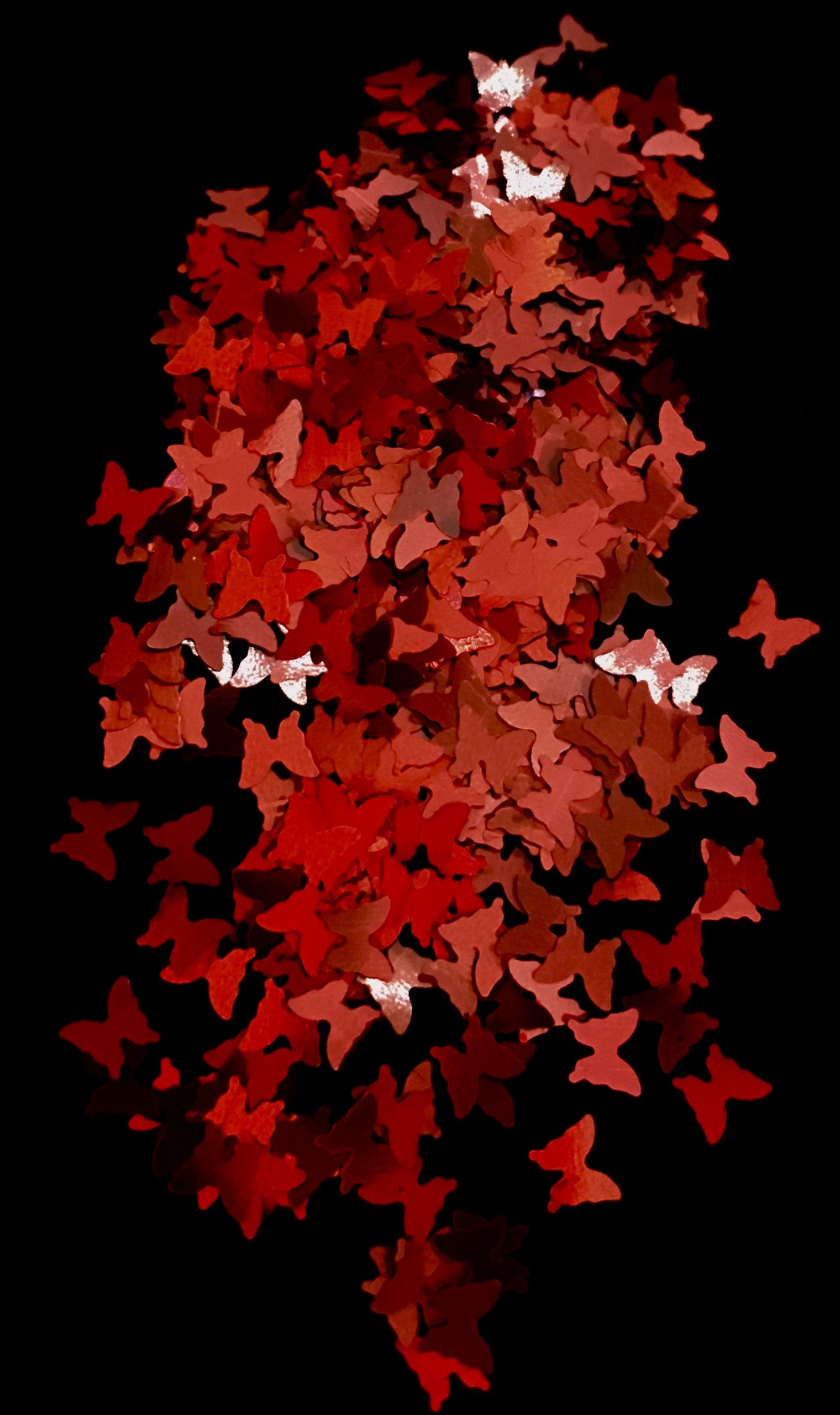 Holographic Sequin Butterfly Glitter – IRIDESCENT RED - Image 2