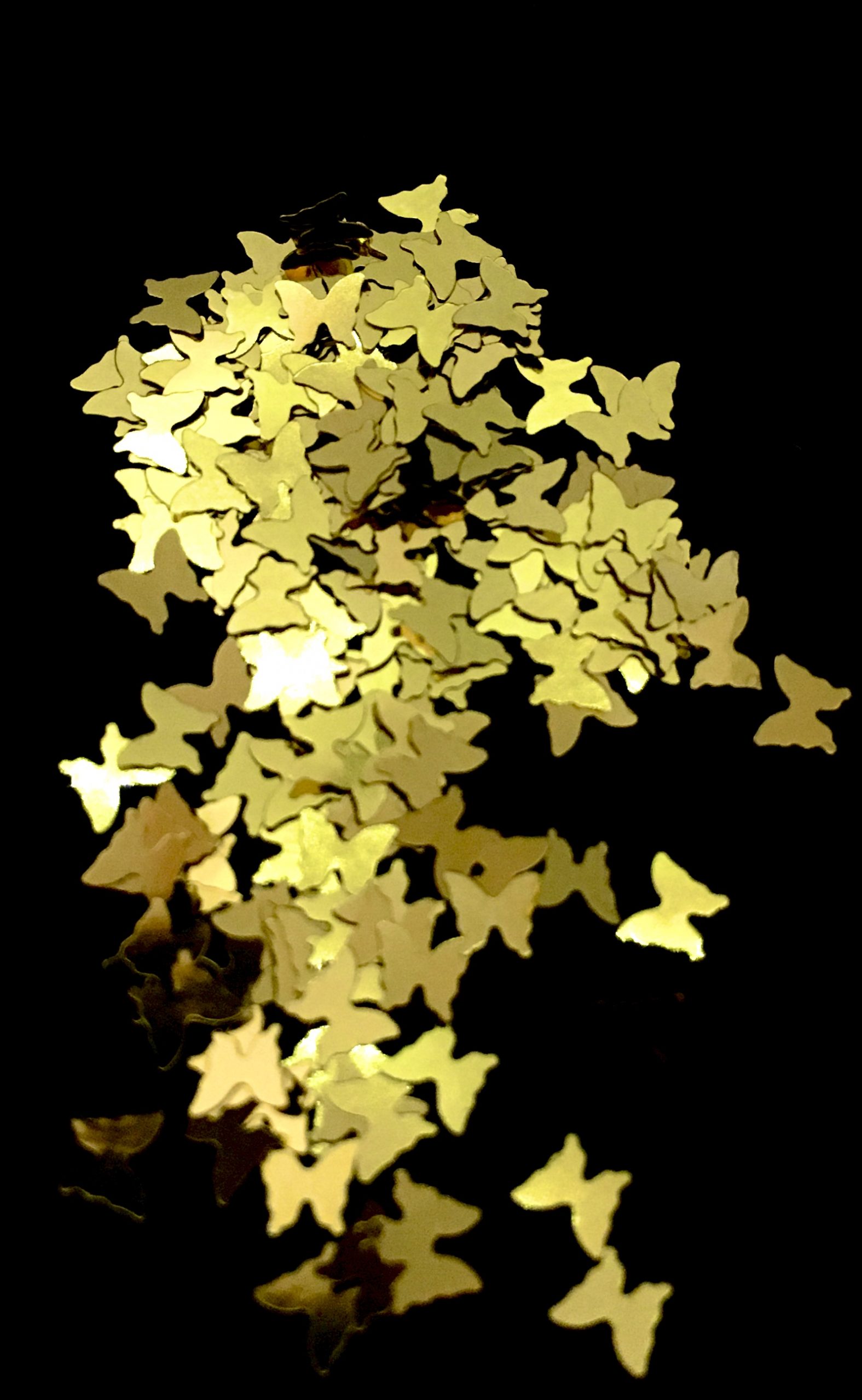 Holographic Sequin Butterfly Glitter – GOLD - Image 2