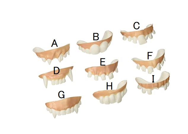 FAKE TEETH - Gnarly Teeth