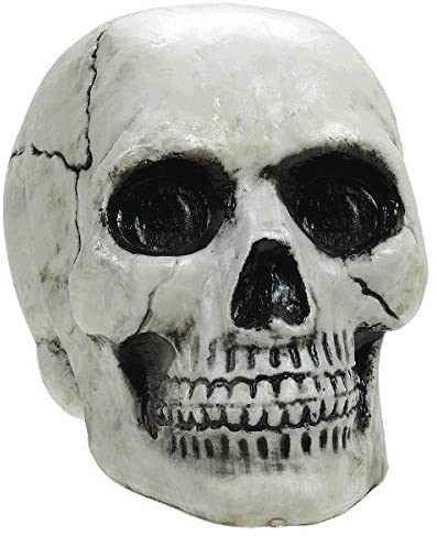 HALLOWEEN DECORATION - SKULLS - Halloween Plastic Skull  4 1/8" x 5"