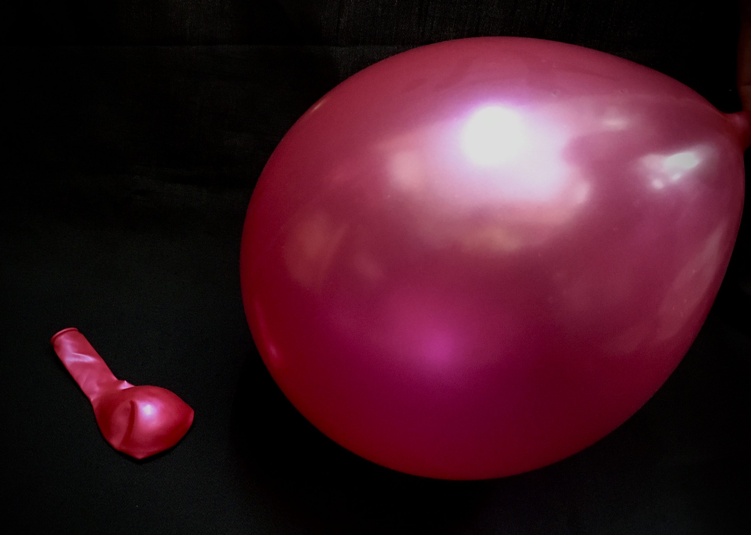 BALLOONS - Latex 12inch - 36 Pack - PEARLIZED FUCHSIA - Image 2