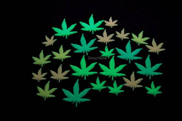 24 Piece Glow in the Dark Multicolor Marijuana Weed Pot Leaves