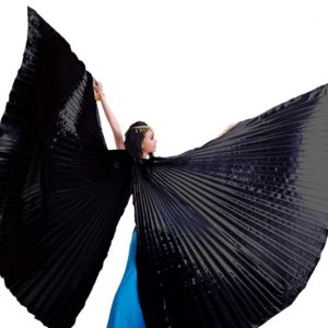Egyptian Belly Dance Costume Isis Wings