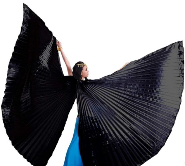 Egyptian Belly Dance Costume Isis Wings