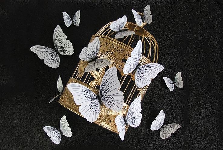 Butterfly Magnet / Wall Sticker Decoration Ambilight Single layer - BLACK