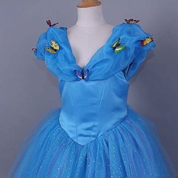Girls Cinderella Princess Costume Dress with accessories