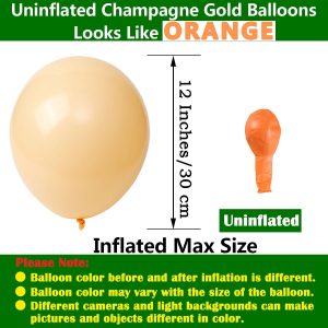 BALLOONS - Latex 12inch - 10 Pack - CHAMPAGNE Balloons
