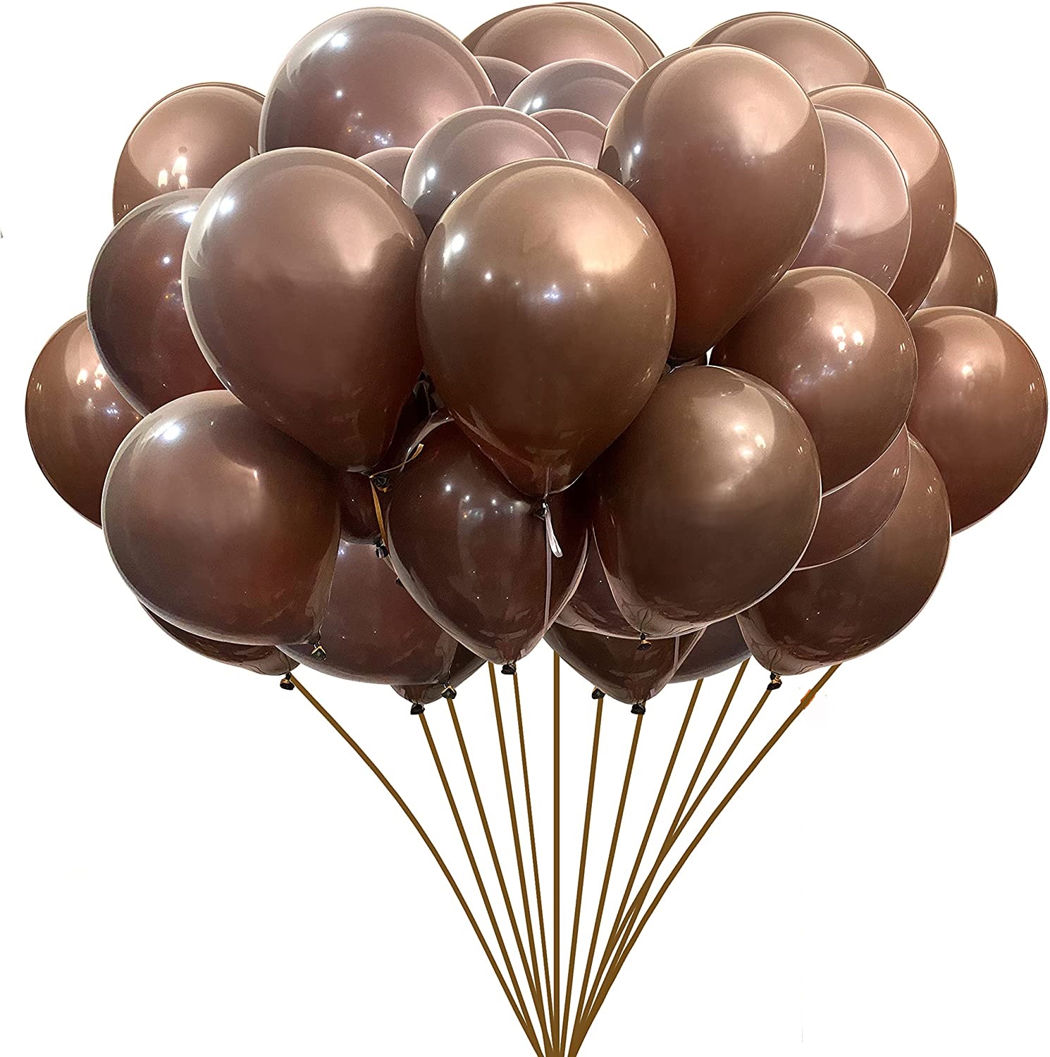 BALLOONS - Latex 12inch - 10 Pack - DARK BROWN Balloon