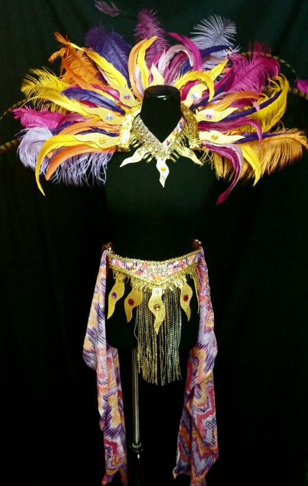 Caribbean Sunset Feather Rhinestone Waistpiece with Strap Footpieces - Image 4