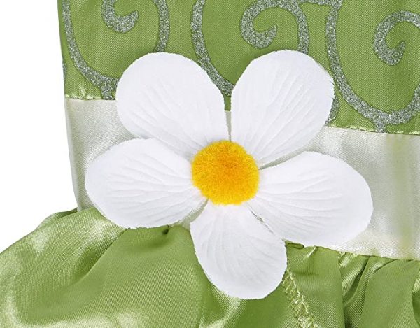 Princess Tiana Green Fairy Frog Princess Dress + Accessory Set - Image 4