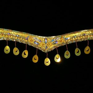 Carnival Rhinestone Waist piece - GOLD 2