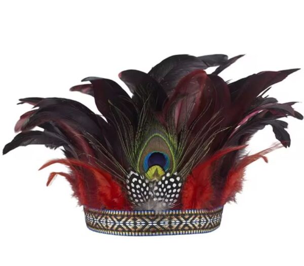 Indian Crown Feather Headband