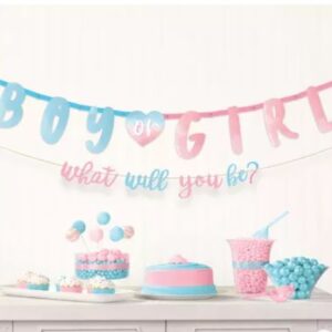 PARTY DECORATIONS - Boy or Girl Gender Reveal Letter Banner Set, 2pc - The Big Reveal