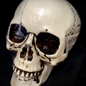 HALLOWEEN DECORATION - SKULLS - Plastic Life Size Skeleton Skull for Halloween Decor - RETRO WHITE