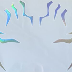 FACE