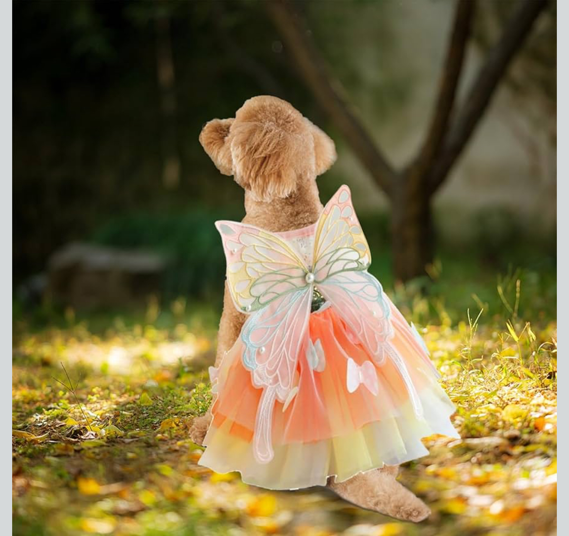 Princess Dog Dresses for Small Dogs Rainbow Clothes Butterfly Costume SIZE SMALL - Image 5