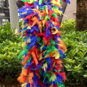 Chandelle Feather Boa 60g – COLORFUL
