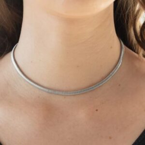 Necklace Set - Flat Out Fierce - Silver