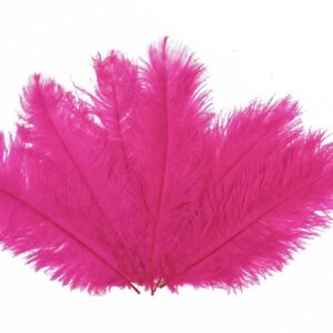 FUCHSIA PINK