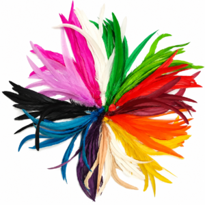 LOOSE FEATHERS - 12pc Rooster tail (coque) feathers